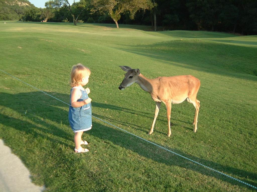 2003/08(Aug)/3(babysitting)/1024x768_2003-08-18 19-07-48.JPG